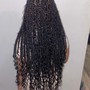 Individual Braids