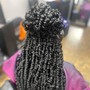 Alicia Darcel Simple Braid down no shampoo