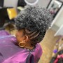 Alicia Darcel Distressed locs