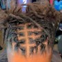 Starter Locs half head, top fade