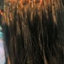 Partial Highlights