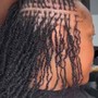 Shampoo Loc Re-twist