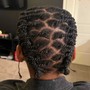 Starter Locs