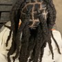 Starter Locs half head, top fade