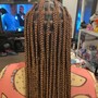 Boy's Braids (ages 5-12)