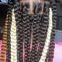 Poetic Justice Braids