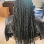 Medium Senegalese Twist med back