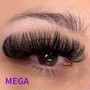 Eyelash Extensions Dainty Set