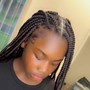 Box Braids (shoulder bladed