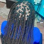 Dreadlocks start (coils)