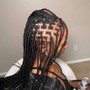 Kid’s small Knotless Braids