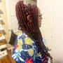 Individuals/Box Braids (Medium)