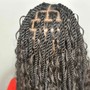 Comb Twist