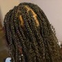 Box Braids