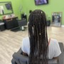 Knotless Braids (1-4 years)