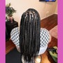 Medium Box Braids