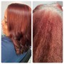 Root Touch Up