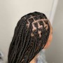 Small Bra Length Zoe Braids