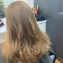 Root Touch Up