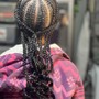 Tribal/Fulani/Feed In Braids