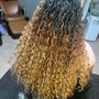 Adult Crochet Braids