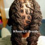 Tree Braids