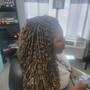 Feed-In Braids