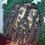 Comb Twist/ Starter Locs