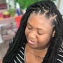 Butterfly Locs (Mid Back Length)