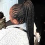 Sleek High ponytail/ sleek braided ponytail