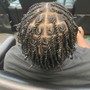 Loc Maintenance- Shampoo, Retwist