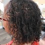 Sisterlocks (TM) Consultation