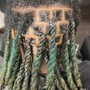 Starter Dreadlocks