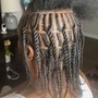 Medium Two Strand Twist