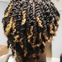 2 Strand Twist ( Starting Price )