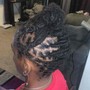 Starter Locs half head, top fade