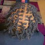 Starter Locs half head, top fade