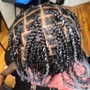 Starter Locs