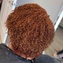 Root Touch Up