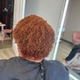 Root Touch Up