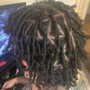 Starter Dreadlocks