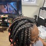 Box Braids / large