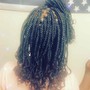 Kid’s Braids/ Twists