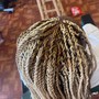 Havana Twists