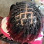 Wash + retwist