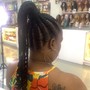 Stitch Braided Ponytail Style