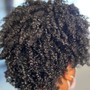 Natural Flat Twists / Twist Out