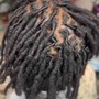 Micro Double Strand Starter Locs top (shaved sides)