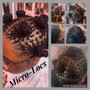 Micro braids