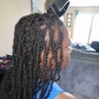 Mini  twist(extensions added)